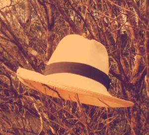 Screen Shot 2015-11-05 at 8.19.01 PM