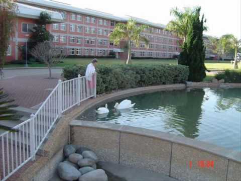 Betel em Cesário Lange